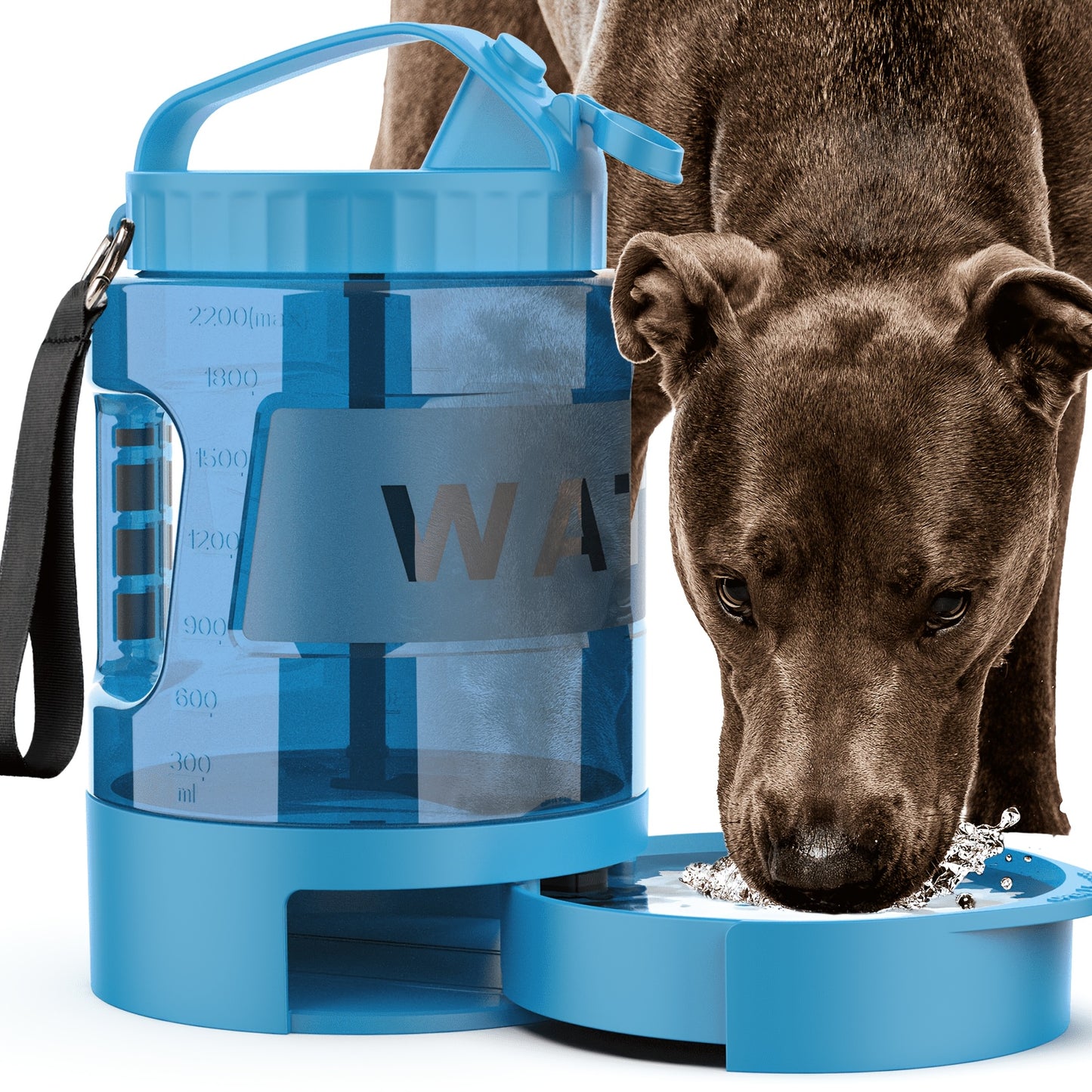 74 Oz Macaron Colored Dog Travel Water Bottle With Bowl