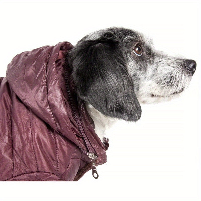 Sporty Avalanche Lightweight Adjustable Pet Coat