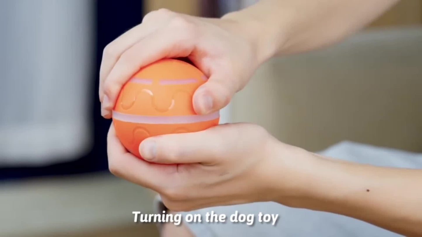 Interactive Remote Control Vibrating Ball Toy for Dogs