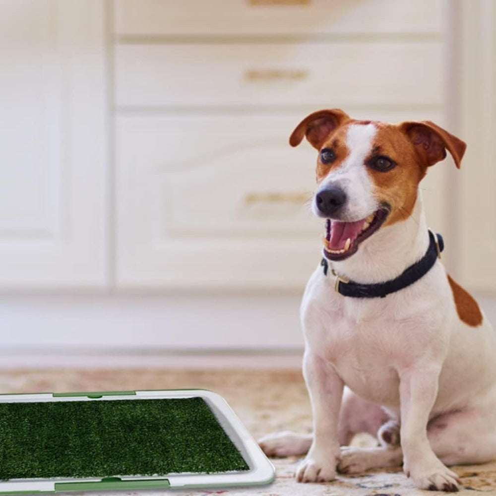 Artificial Grass Puppy Potty Easy Clean-Up Dog Training Toilet