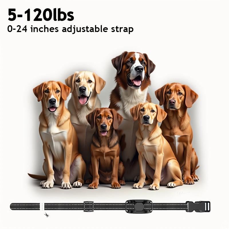 Electronic Dog Training Collar With Remote Waterproof Rechargeable Device