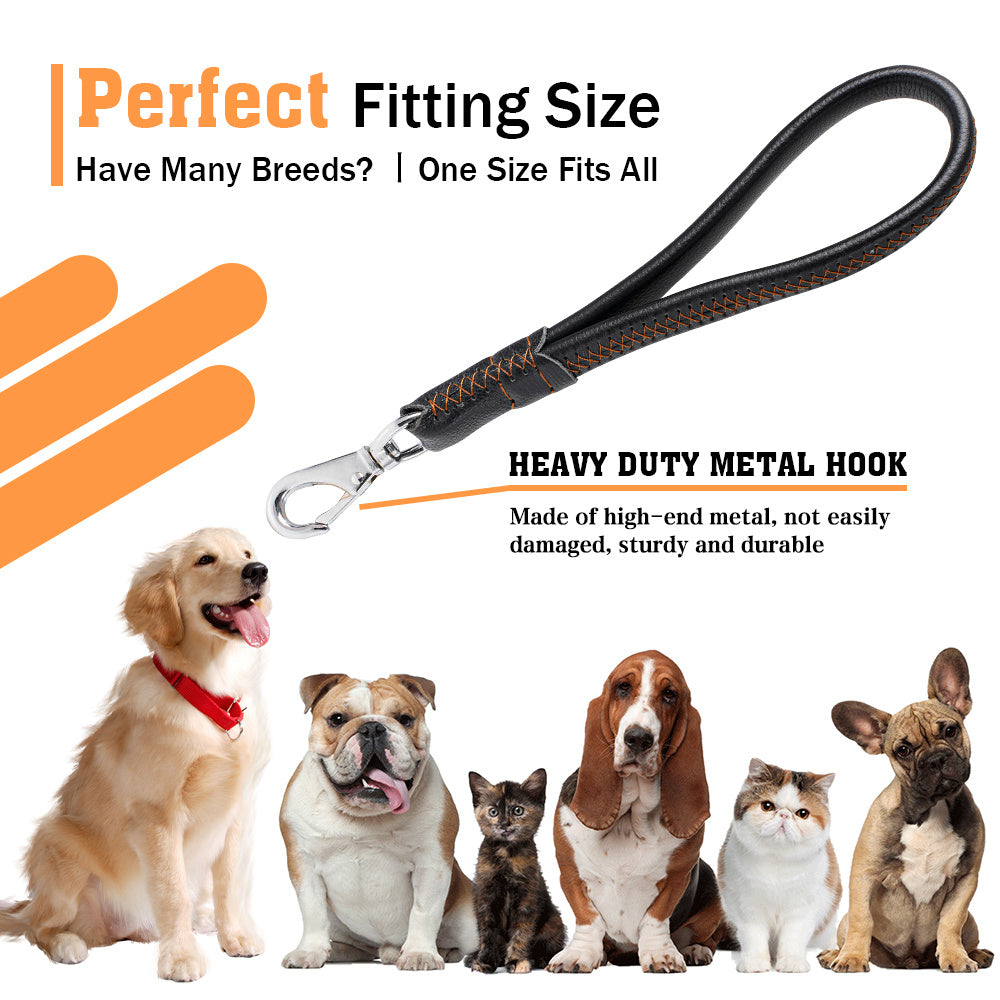 Vivicreate Short Leather Dog Leash for Large Medium Dogs