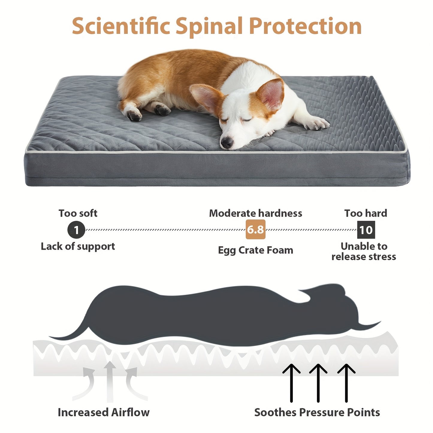 Extra Large Waterproof XL Pet Bed with Anti-Slip Bottom
