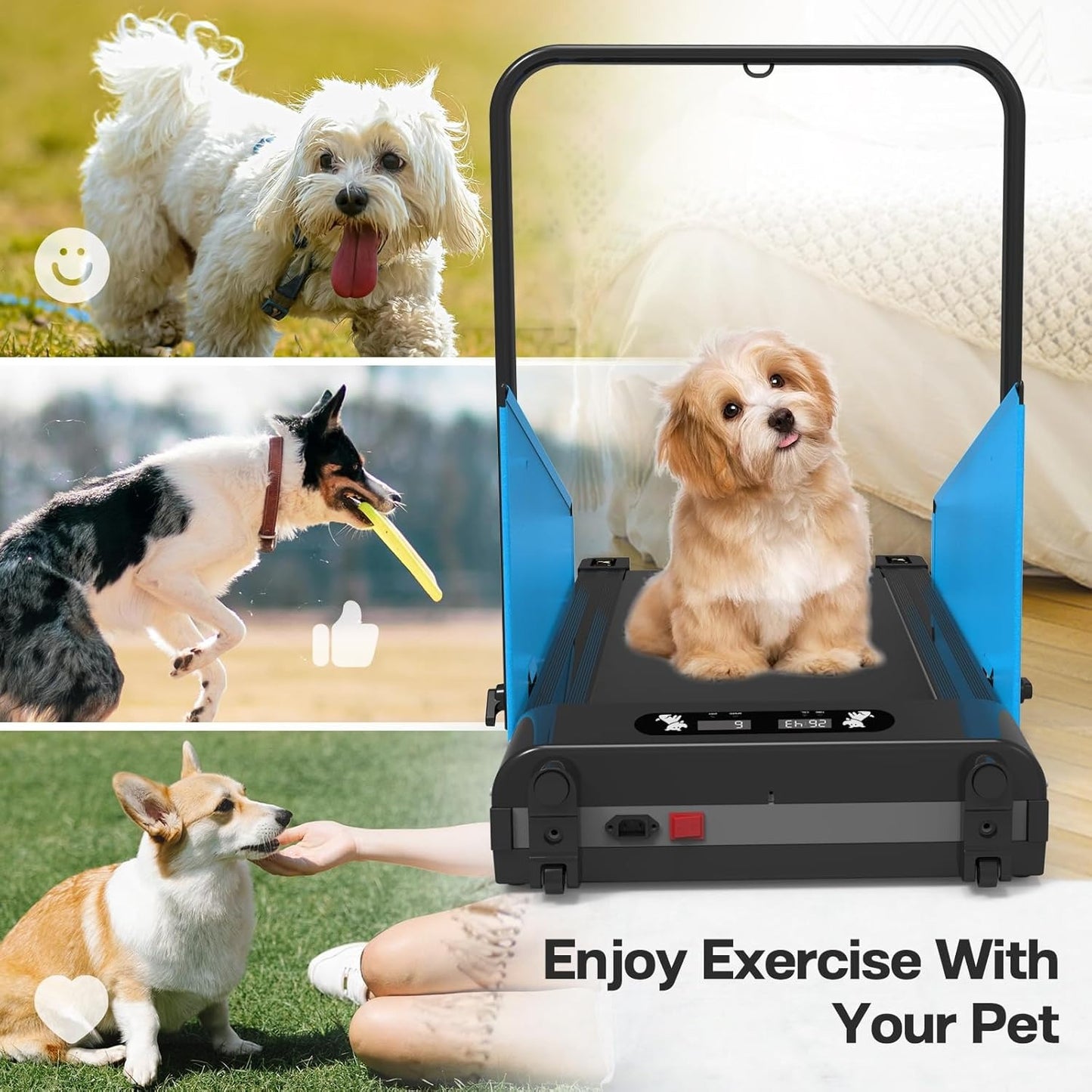 Dog Treadmill for Small Medium Dogs Canine Exercise Machine