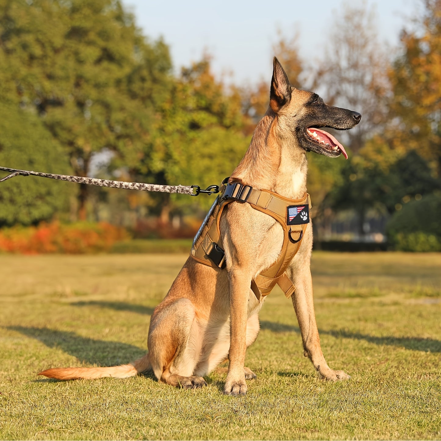 Tactical Pet Chest Harness for Ultimate Comfort and Control