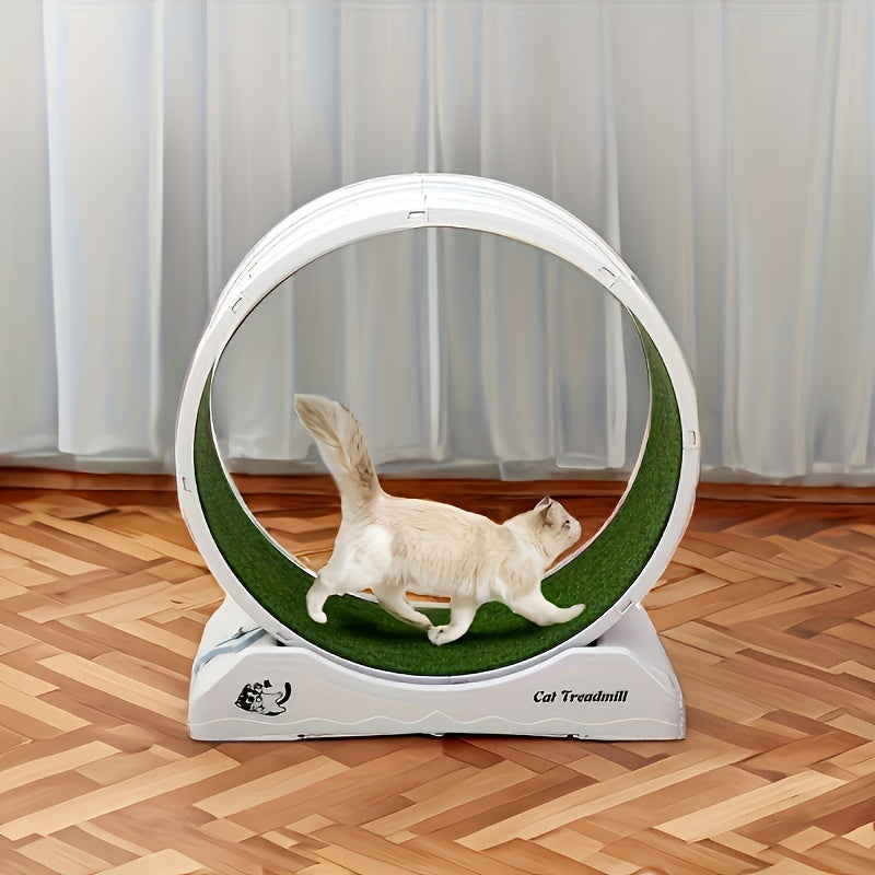 1pc Cat Exercise Wheel For Indoor Cats Fitness & Health