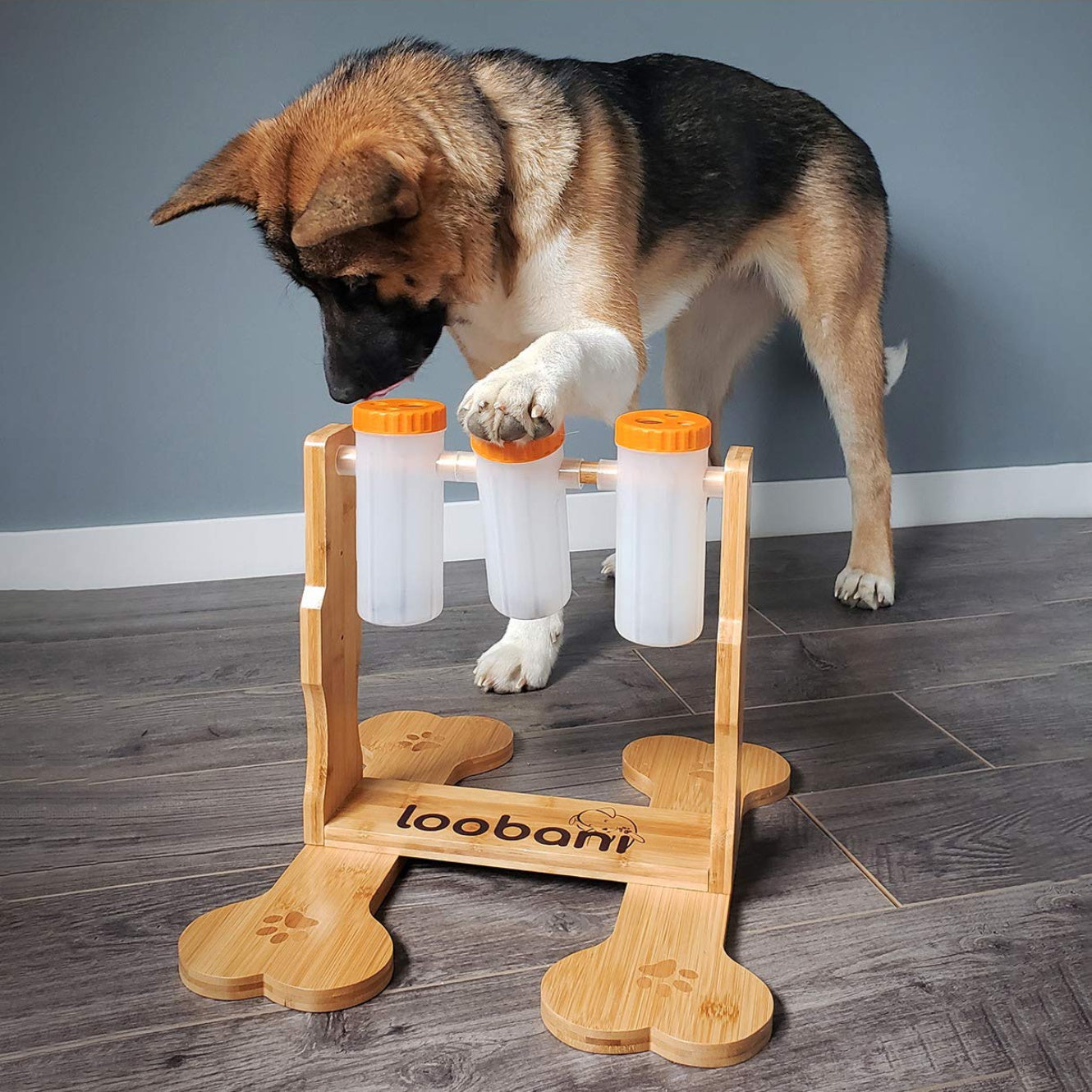 Interactive Wooden Dog Puzzle Toy for Mental Stimulation and Training
