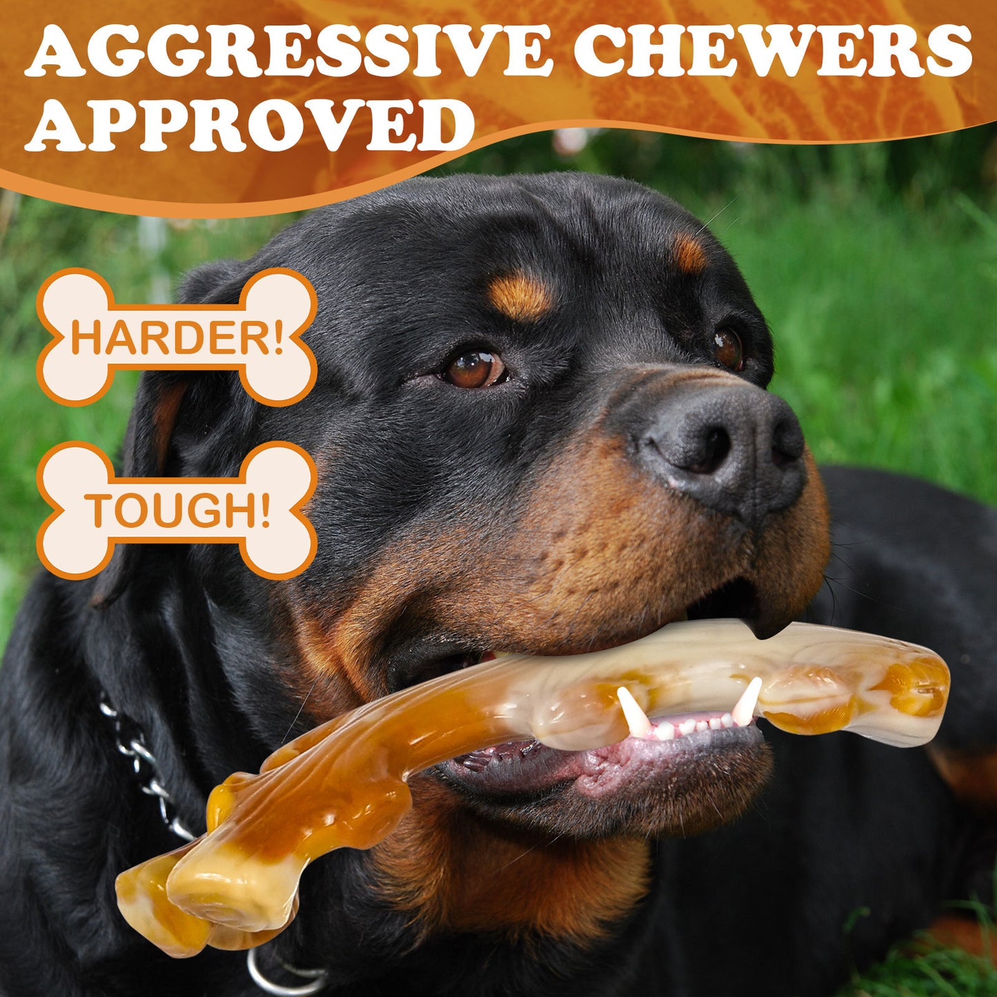 Durable Nylon Dog Chew Toys Bacon Flavor Pack