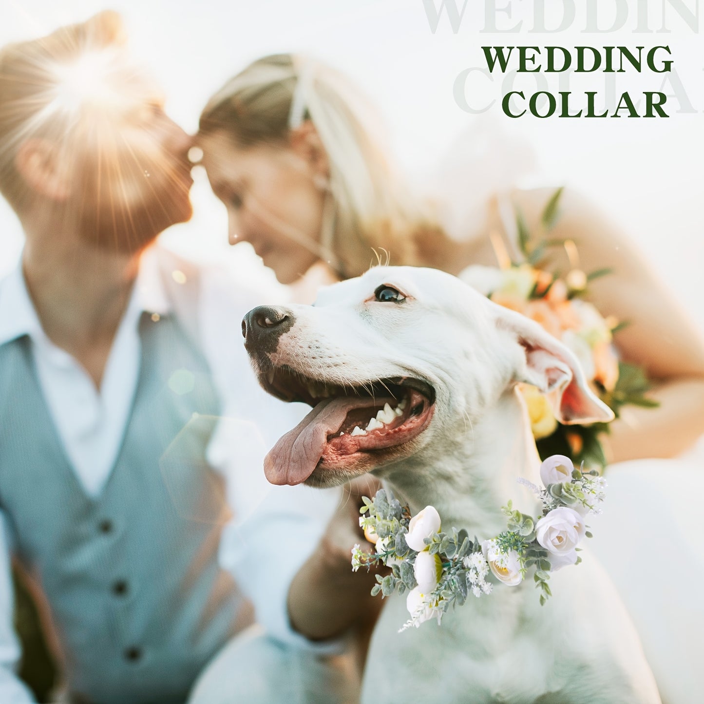 Dog Wedding Flower Collar for Autumn Ceremonies and Photo Props