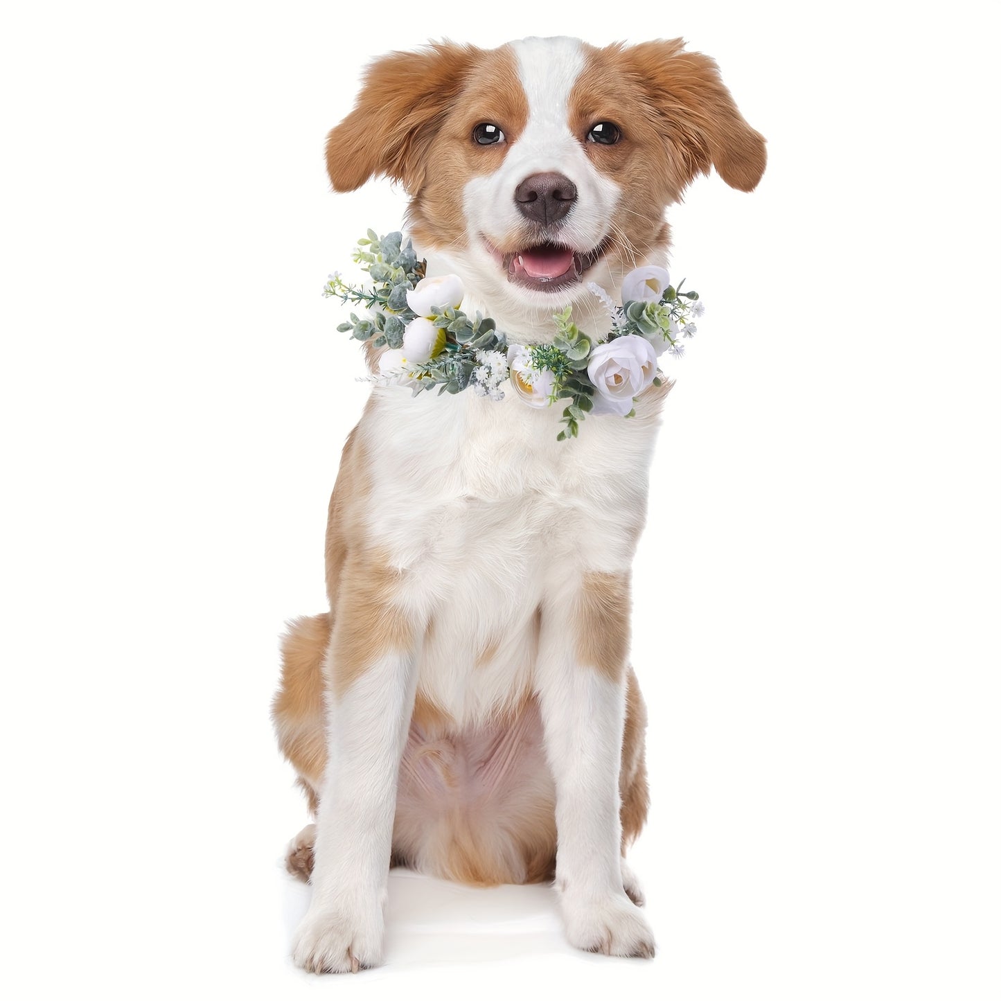 Dog Wedding Flower Collar for Autumn Ceremonies and Photo Props