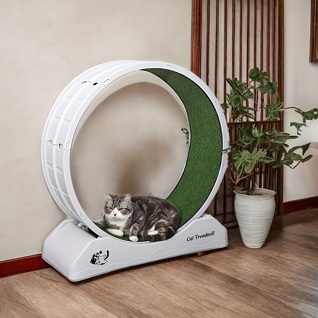1pc Cat Exercise Wheel For Indoor Cats Fitness & Health