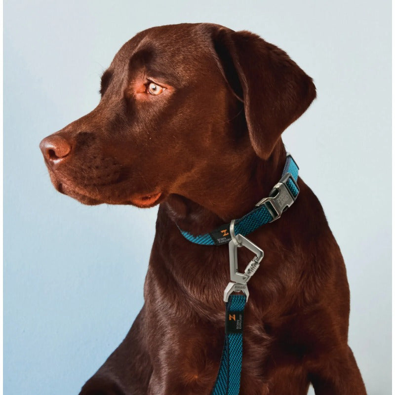 Pet Life Escapade Outdoor Series 2-in-1 Dog Leash Collar