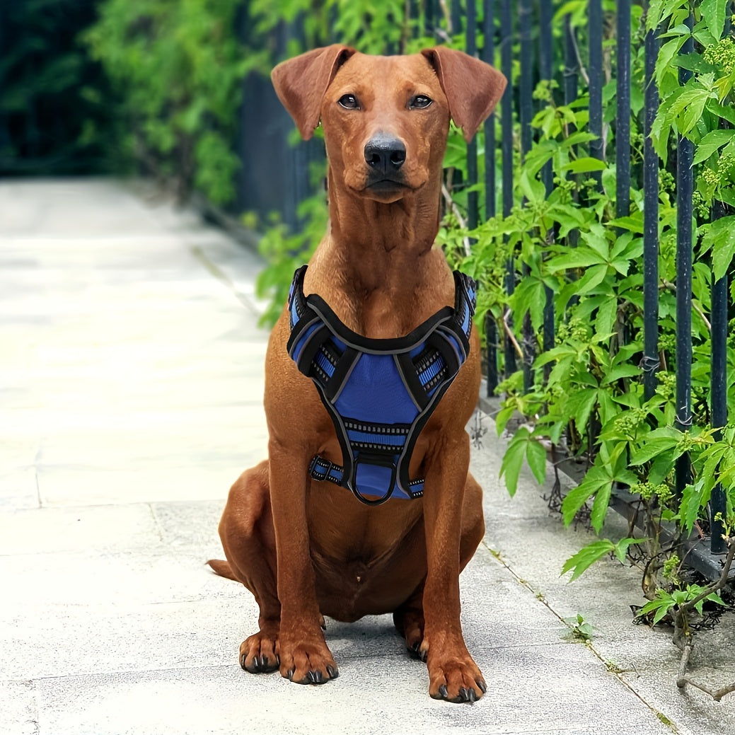 6in 1 No-Pull Dog Harness And Leash Set For All Dogs