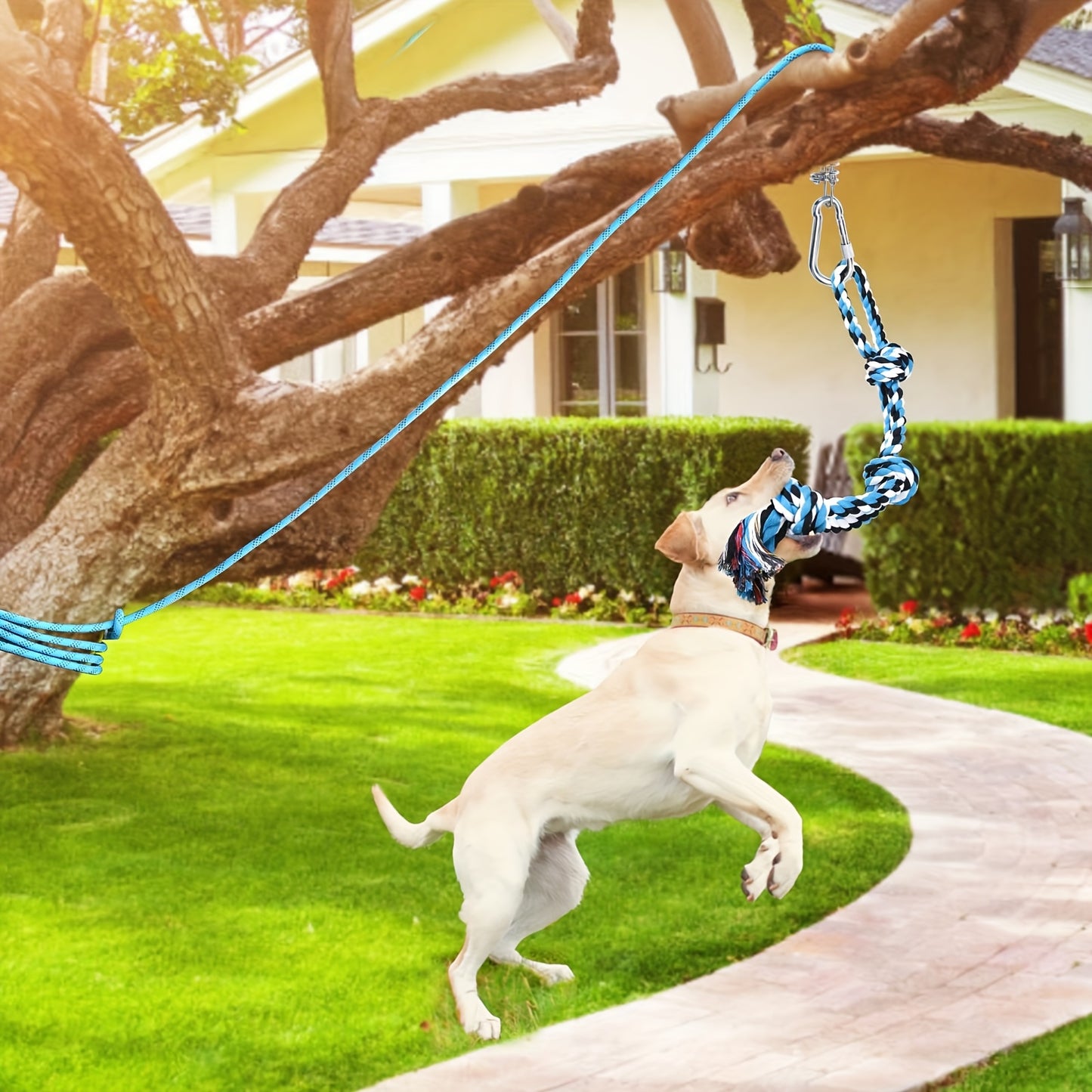 Blue Nylon Bungee Cord Interactive Dog Teaser Wand