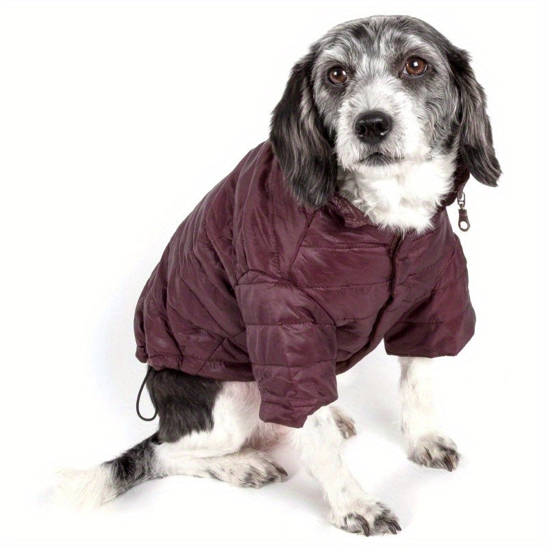 Sporty Avalanche Lightweight Adjustable Pet Coat