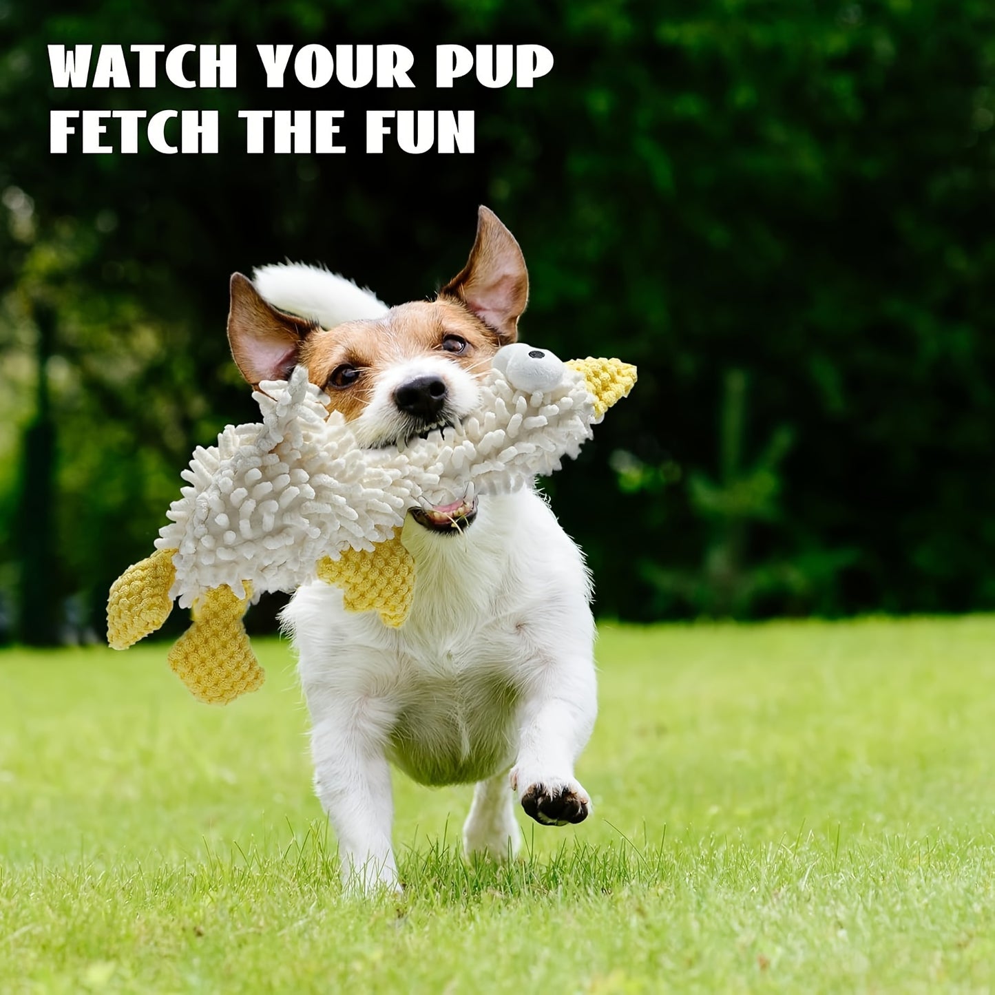 Durable Cartoon Plush Squeaky Dog Chew Toys for Playtime