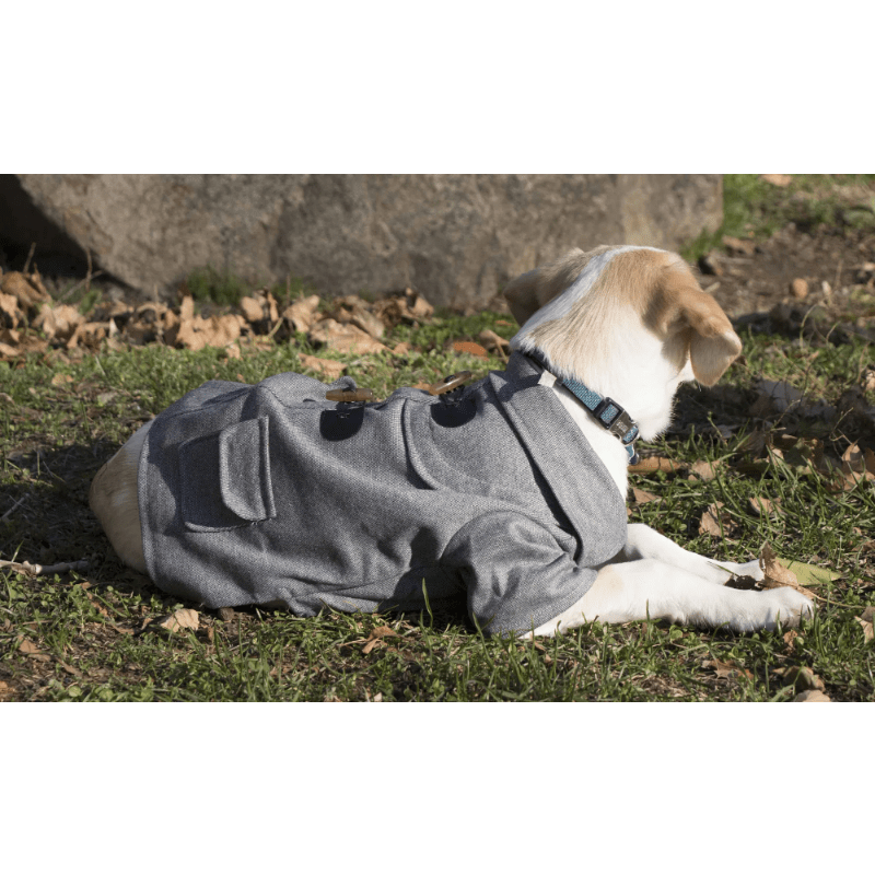 Rugged Fleece Dog Coat with Metal Buttons for Pets