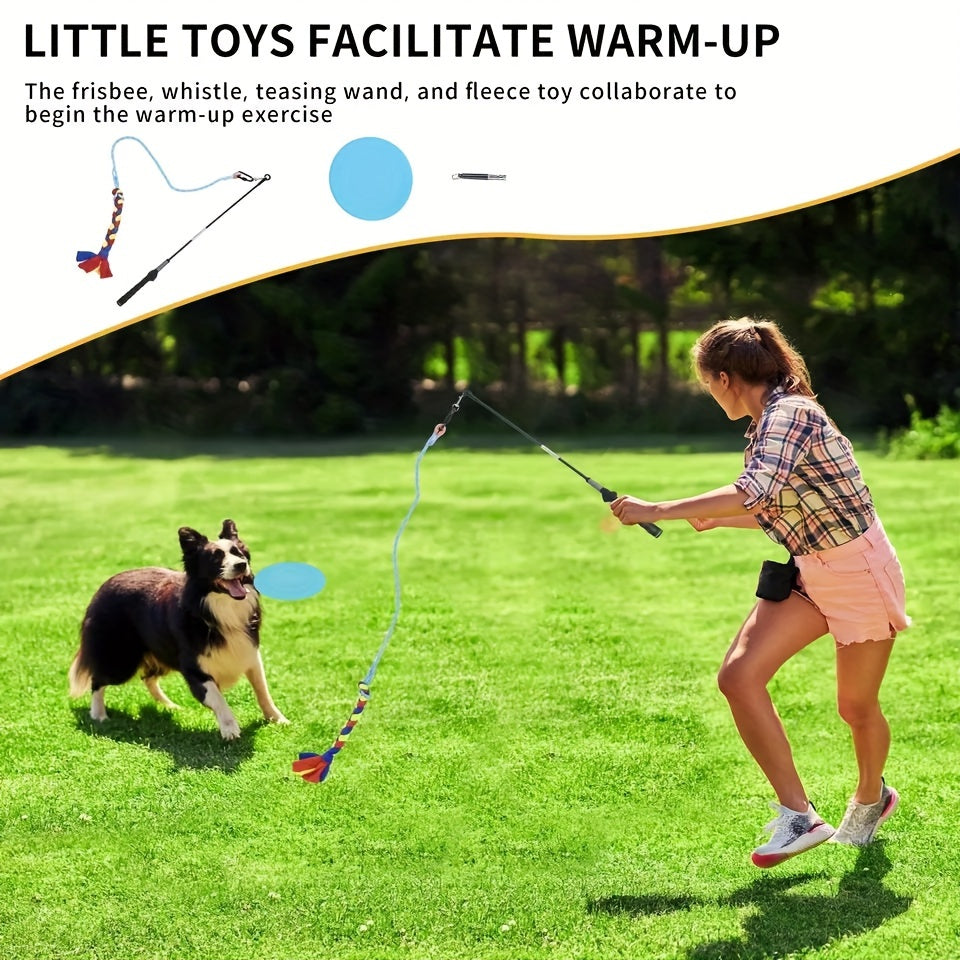 Introductory Pet Obstacle Course - Dog Agility Training Set Outdoor