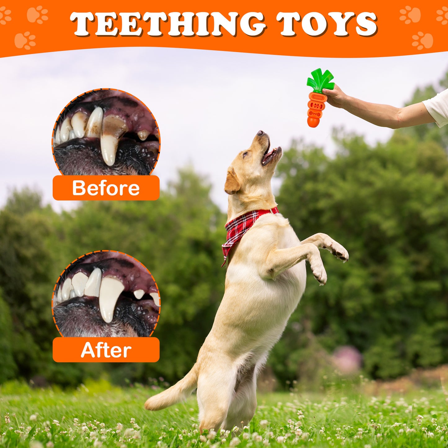 Indestructible Dog Chew Toy Carrot Shape Stress Relief Durable Nylon