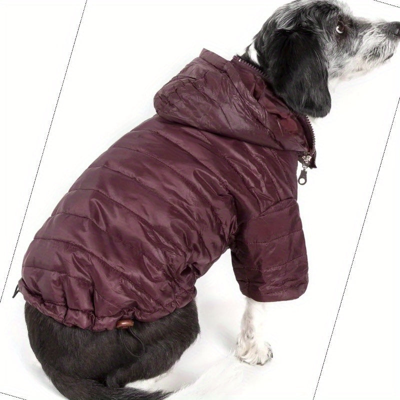 Sporty Avalanche Lightweight Adjustable Pet Coat