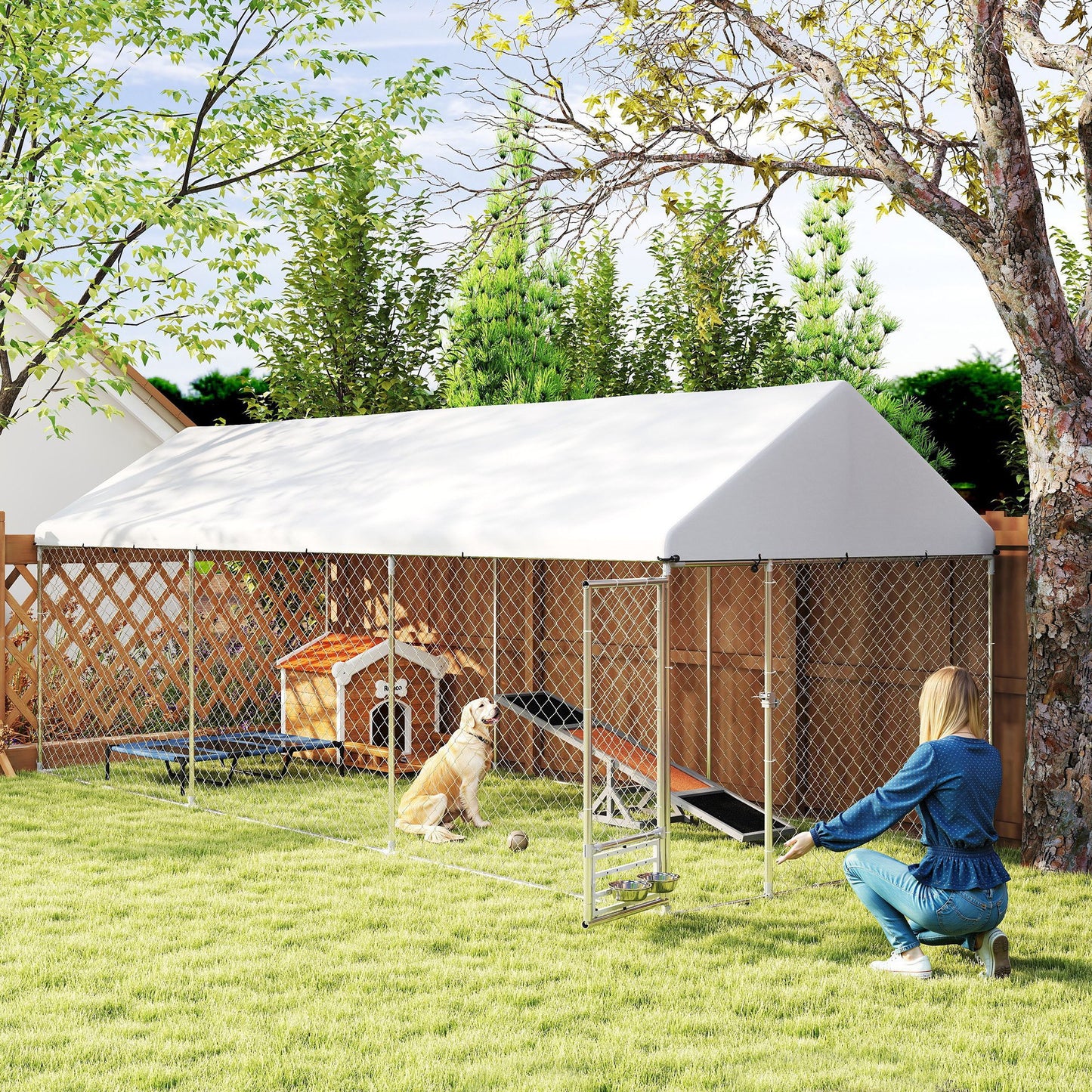 Heavy Duty Outdoor Dog Kennel with Secure Lock and Roof