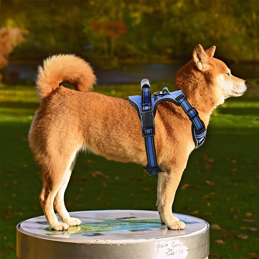 6in 1 No-Pull Dog Harness And Leash Set For All Dogs