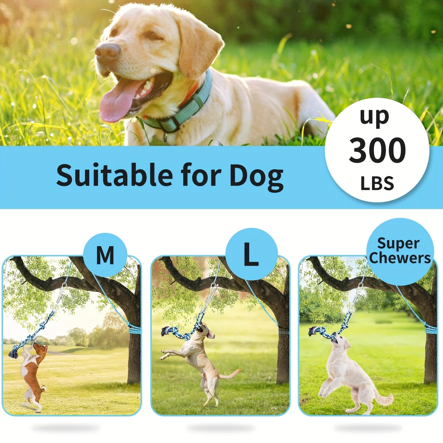Blue Nylon Bungee Cord Interactive Dog Teaser Wand