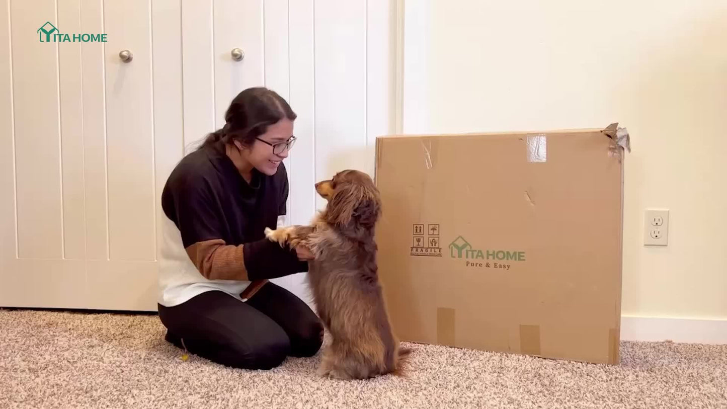 Introductory Pet Obstacle Course - Dog Agility Training Set Outdoor