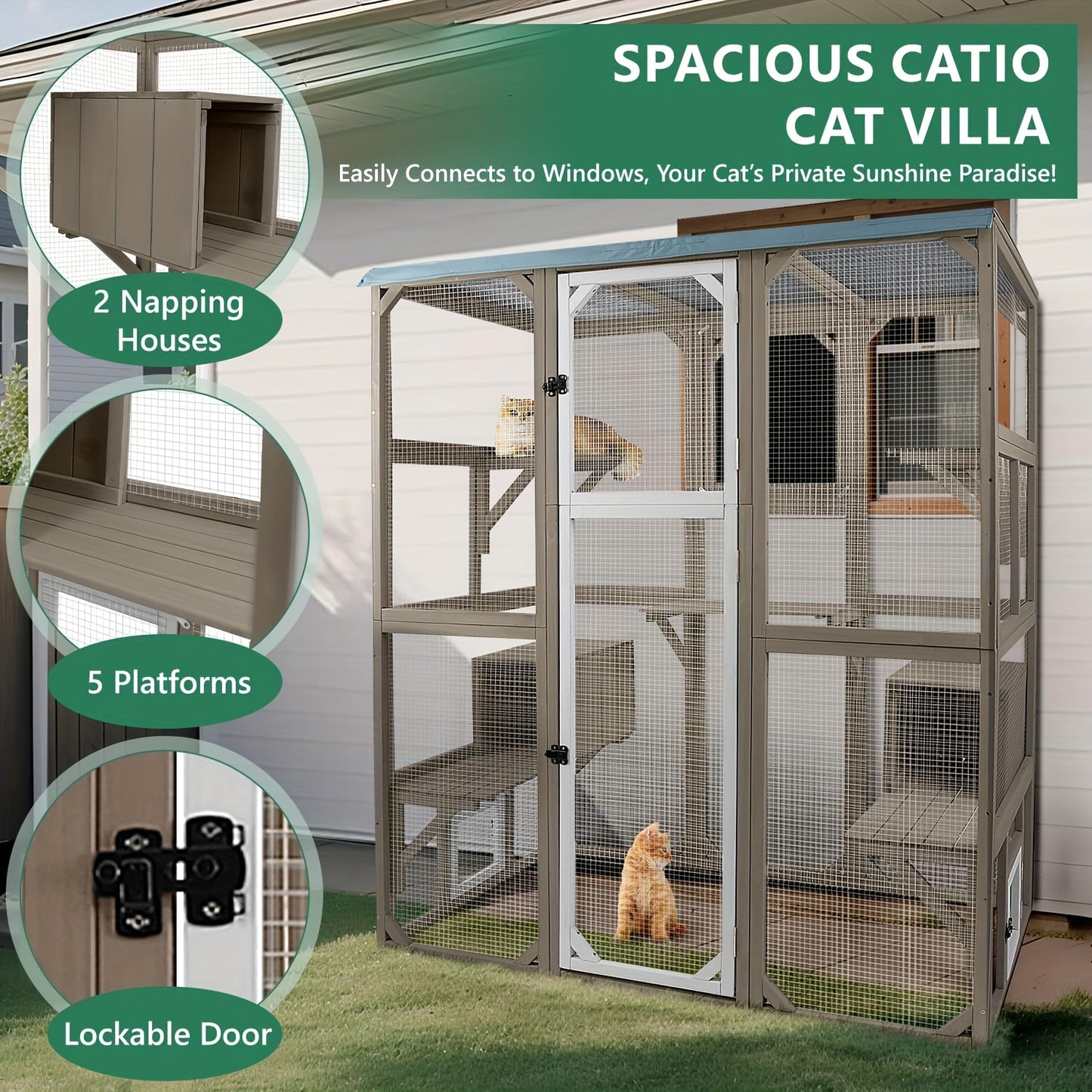 Large Outdoor Cat Catio Enclosure With Multiple Access Points