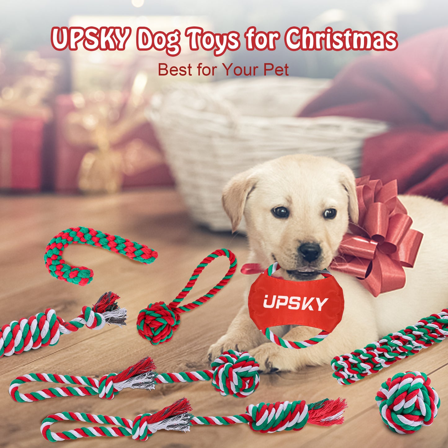 Durable Heavy Duty Dog Chew Toys Set for Aggressive Chewers