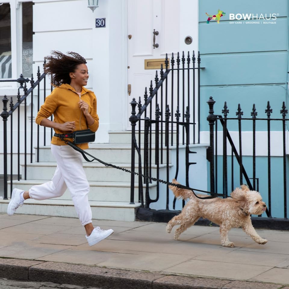 CAPHAUS Hands Free Dog Leash with Zipper Pouch and Bungee