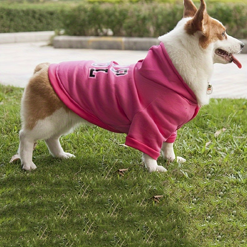 Warm Dog Hoodie For Cold Weather Comfort And Style