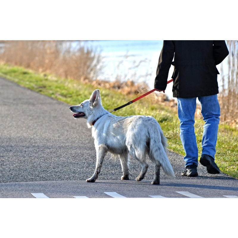 1pc Pet Life 2-in-1 Reflective Dog Harness and Leash Set