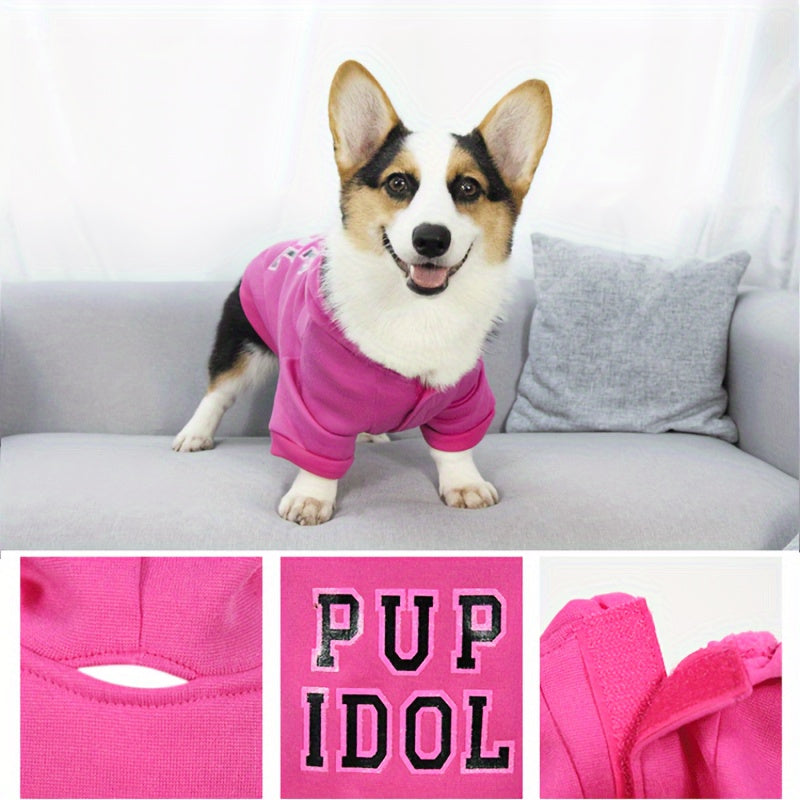 Warm Dog Hoodie For Cold Weather Comfort And Style