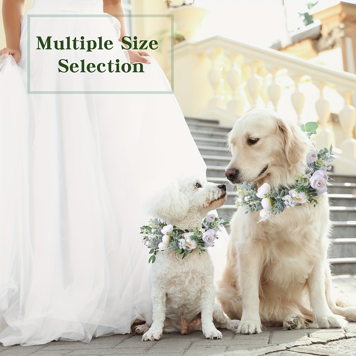 Dog Wedding Flower Collar for Autumn Ceremonies and Photo Props