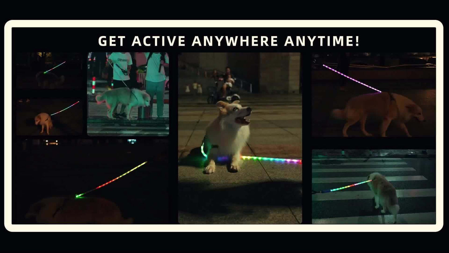 Reflective Dog Leash, Heavy Duty LED Lighted Leash
