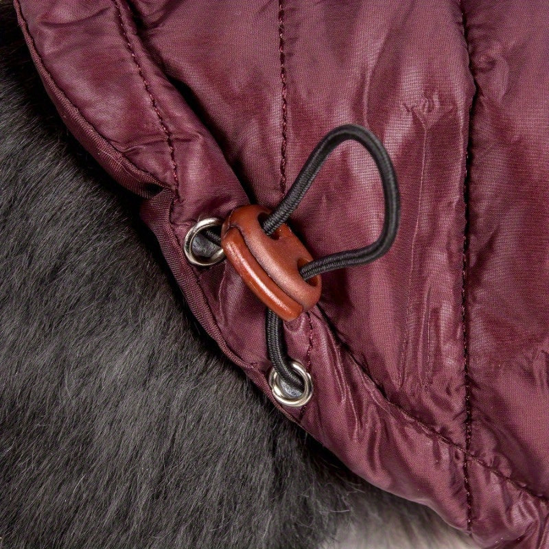 Sporty Avalanche Lightweight Adjustable Pet Coat