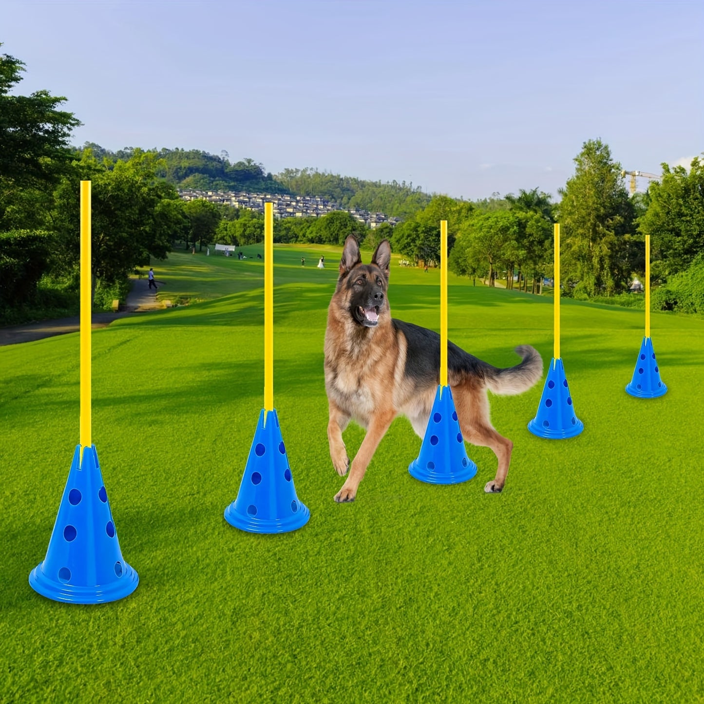 Dog Agility Hurdle Cone Set with 12 Cones and 6 Rods