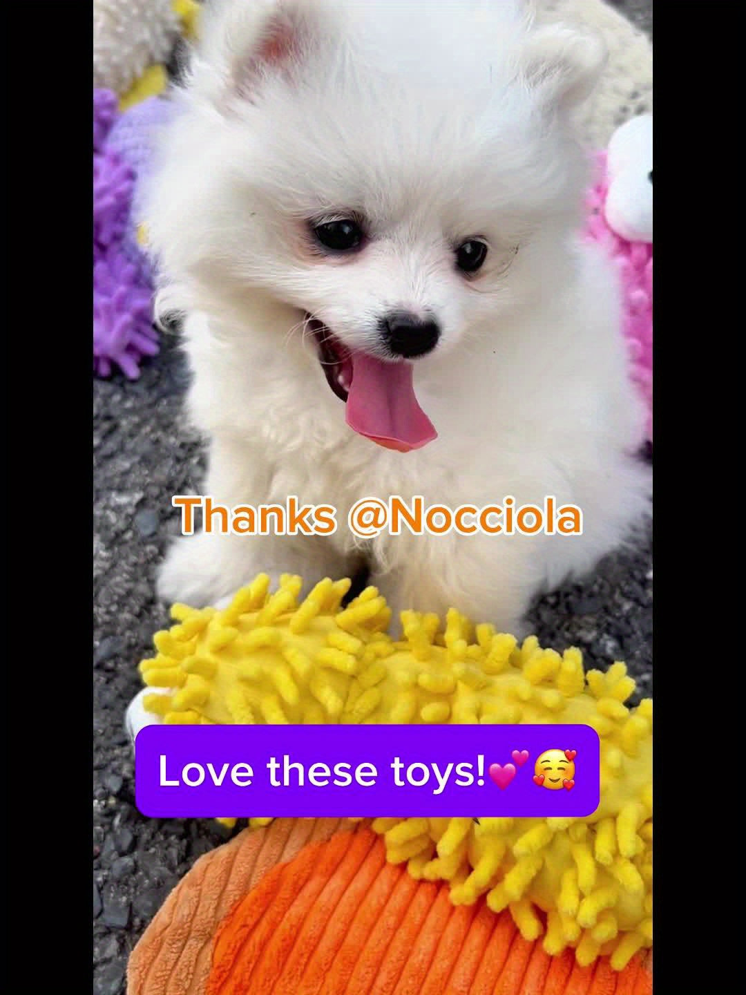 Durable Cartoon Plush Squeaky Dog Chew Toys for Playtime