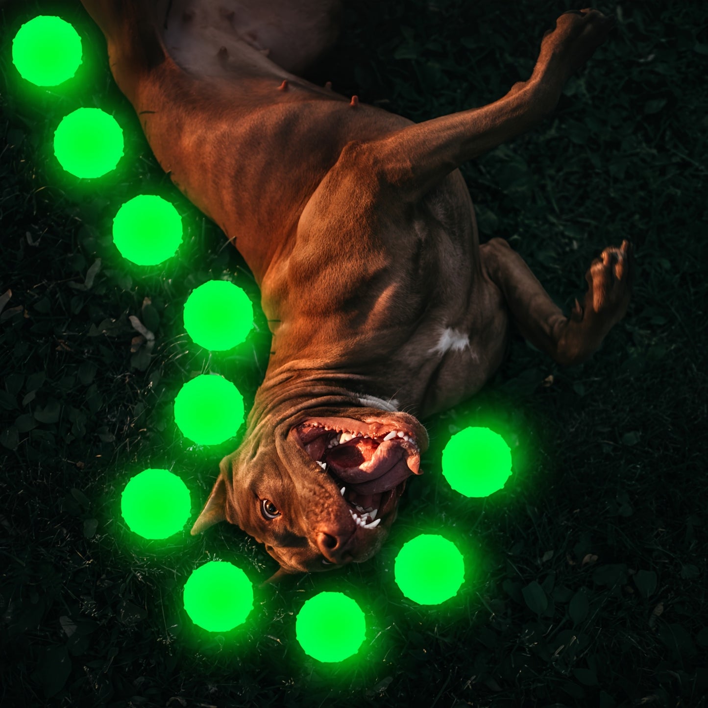 10pcs Glow in The Dark Dog Toys Fetch Balls for Small Dogs