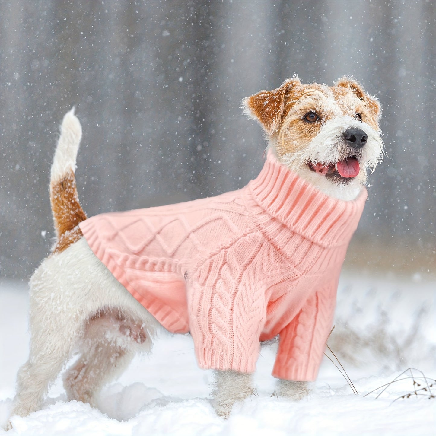 Cozy Turtleneck Dog Sweater for Small and Medium Breeds