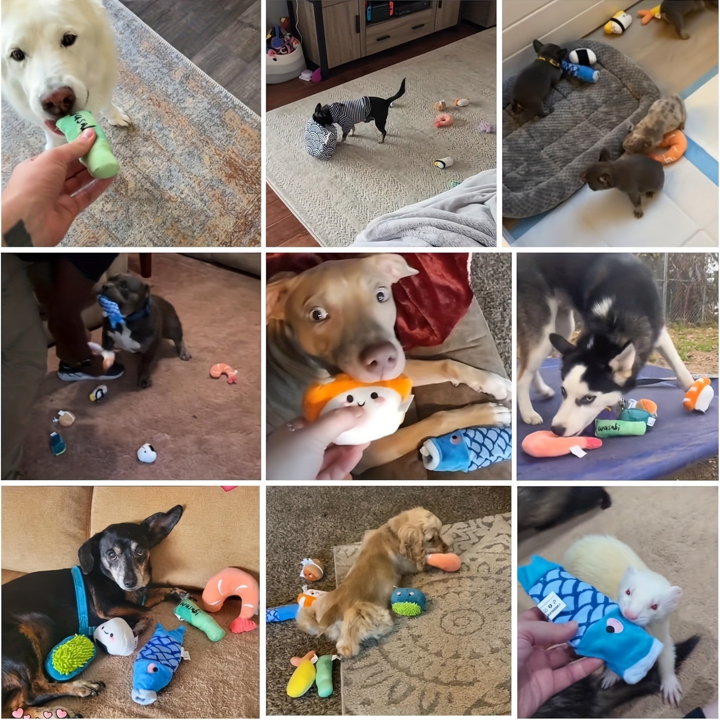 Nocciola Sushi Plush Dog Toys Set with Squeaky Chew Toys