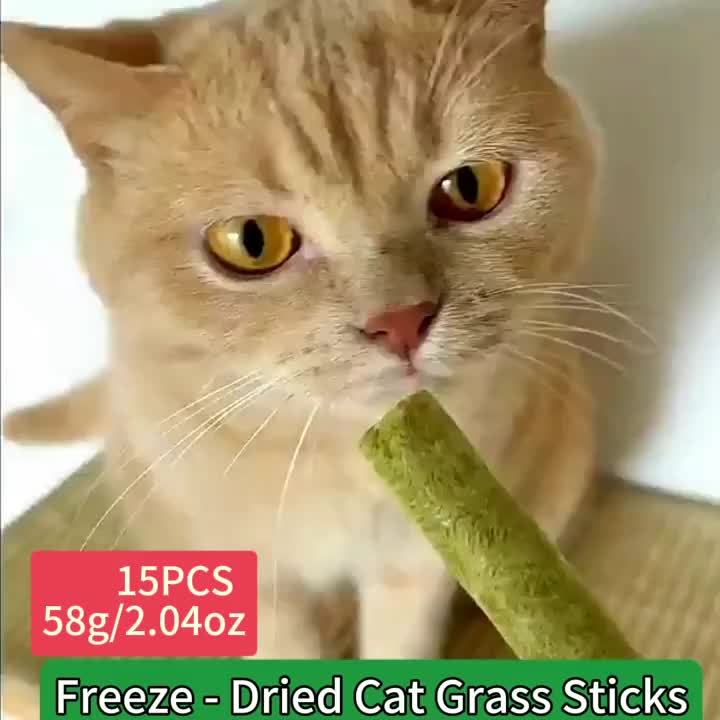 Freeze-Dried Catgrass Stick 30 Roots Instant Cat Snack