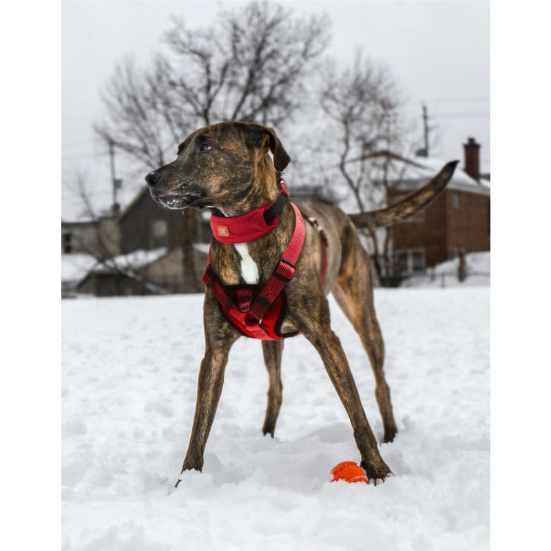 1pc Pet Life 2-in-1 Reflective Dog Harness and Leash Set