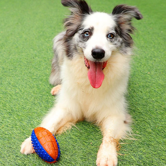 GiGwi Durable Squeaky Dog Chew Toys for Aggressive Chewers