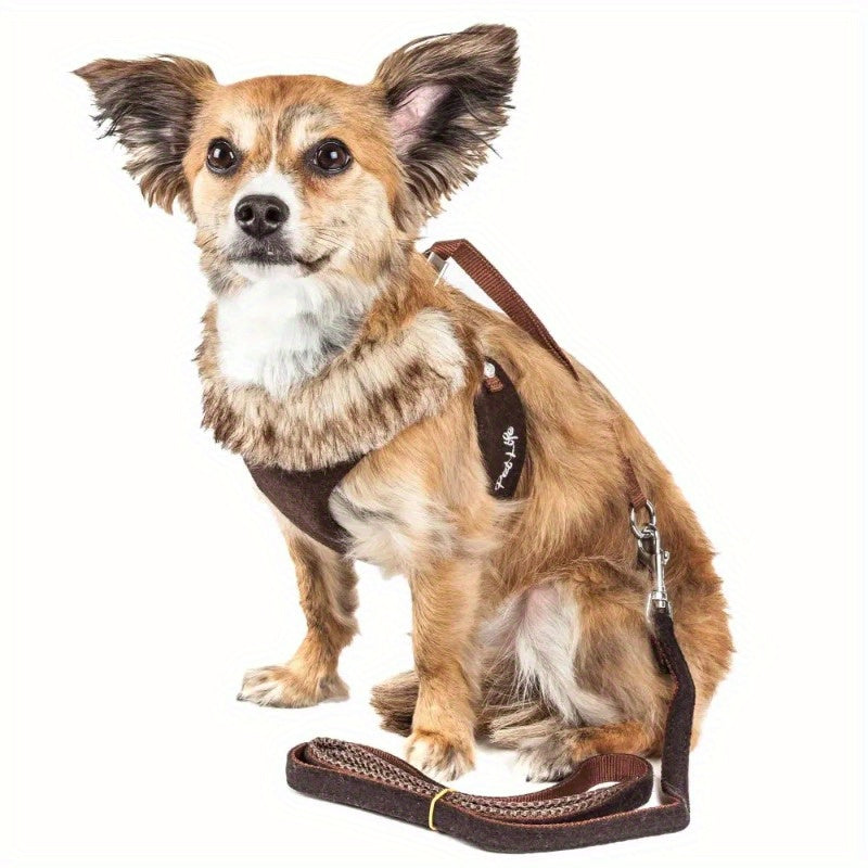Furracious Luxe 2-in-1 Adjustable Dog Harness and Leash Set