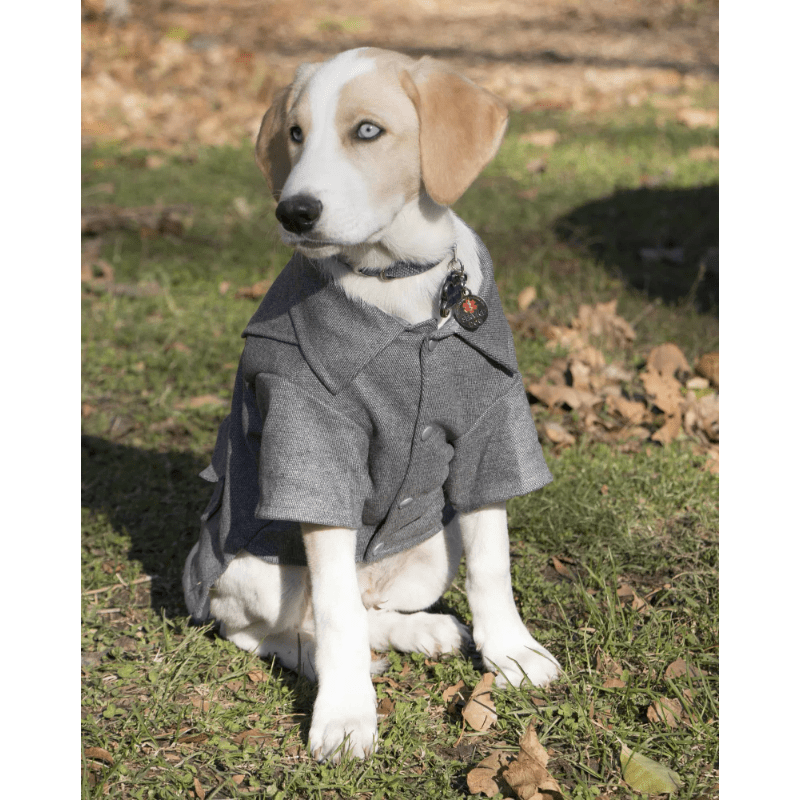 Rugged Fleece Dog Coat with Metal Buttons for Pets