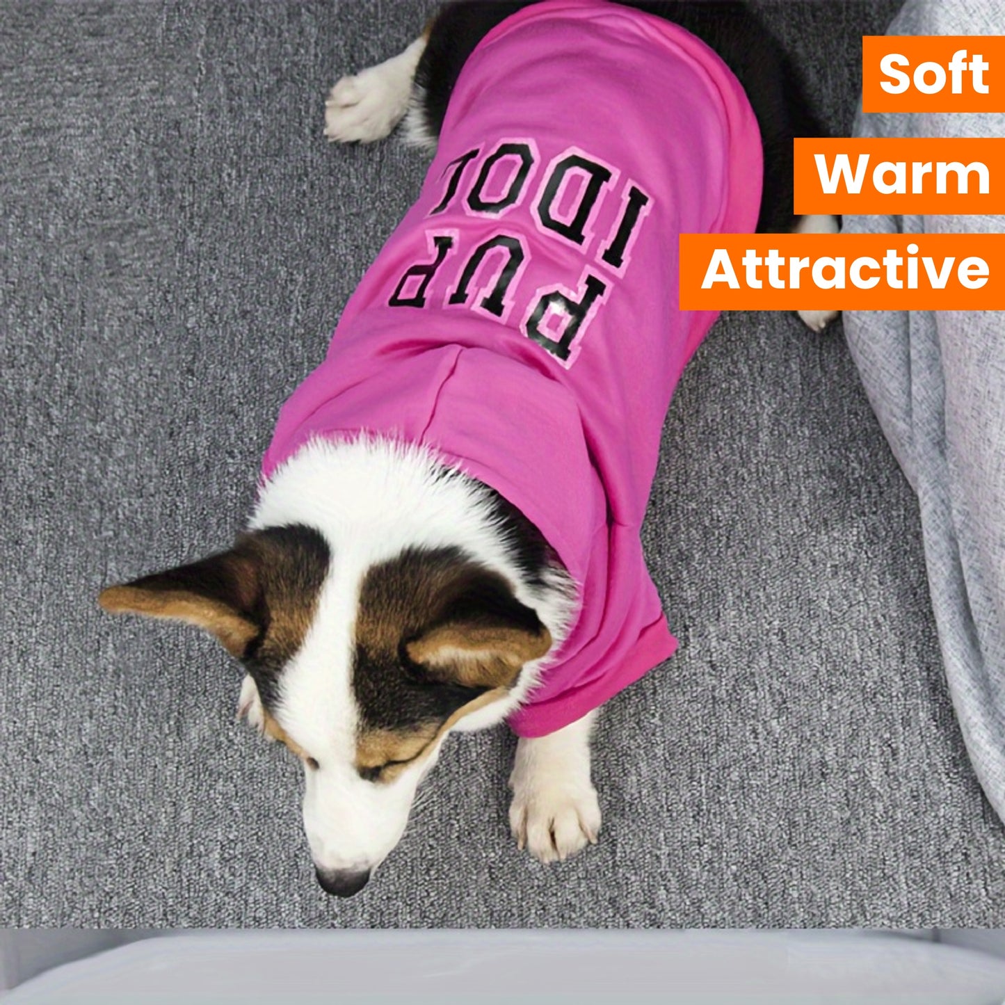 Warm Dog Hoodie For Cold Weather Comfort And Style