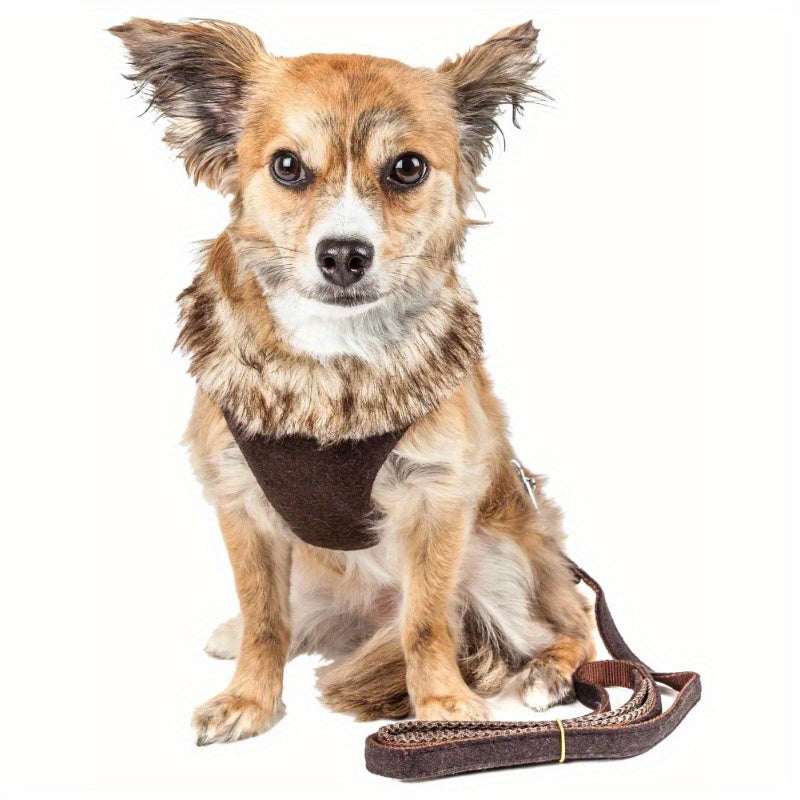 Furracious Luxe 2-in-1 Adjustable Dog Harness and Leash Set