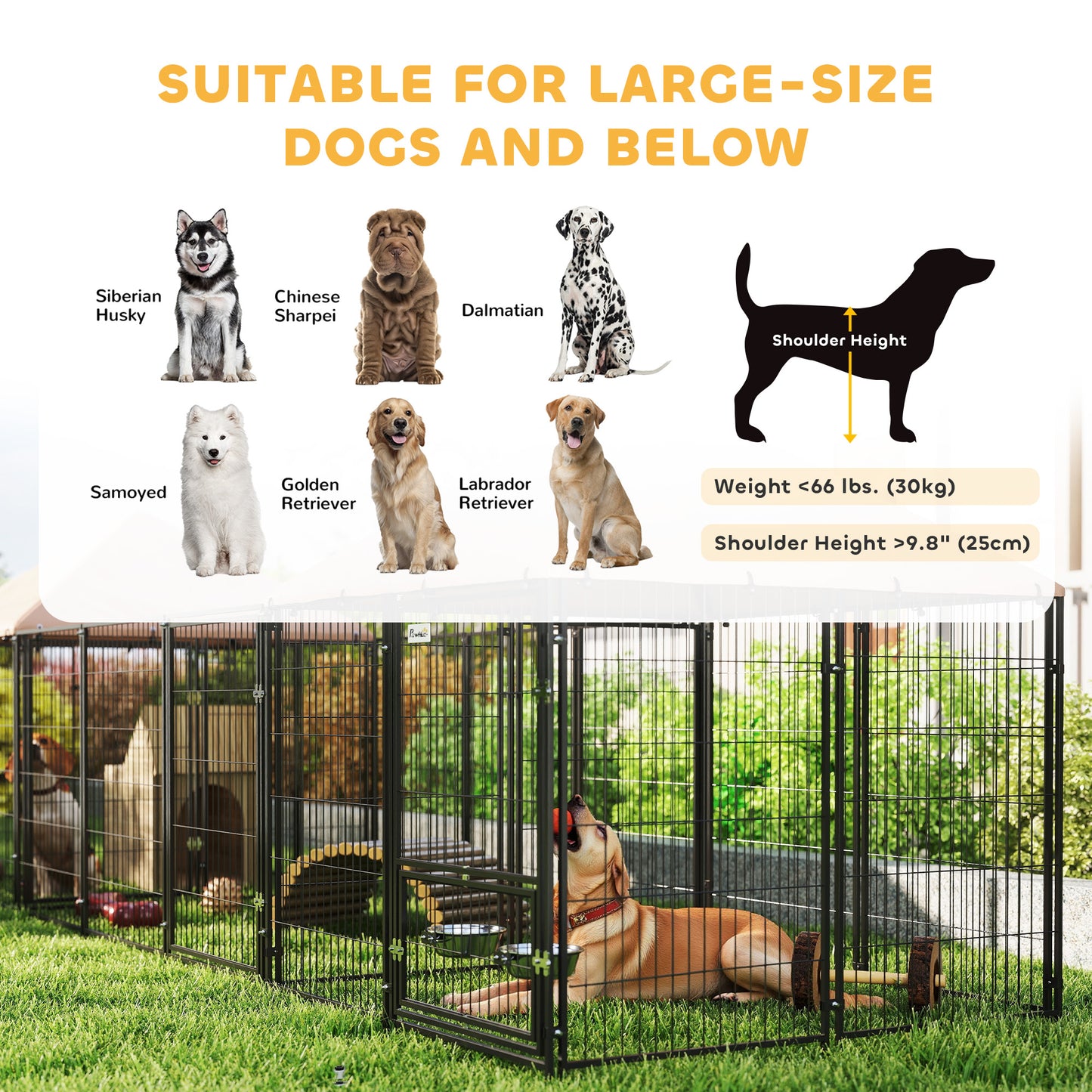 Spacious Outdoor Dog Kennel with Two Rooms and Canopy